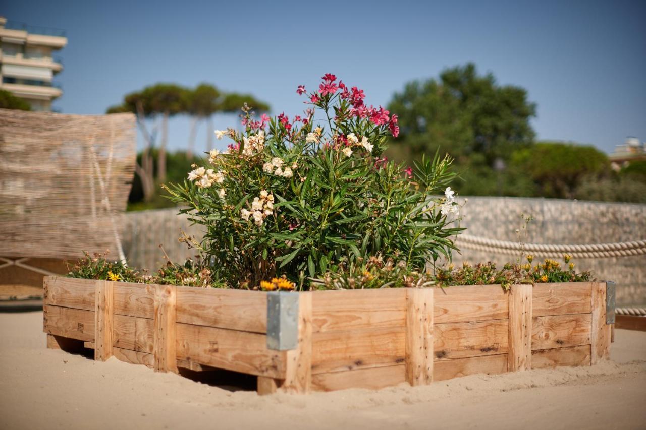 Hotel Saraceno Resort With Private Beach Мілано-Маріттіма Екстер'єр фото